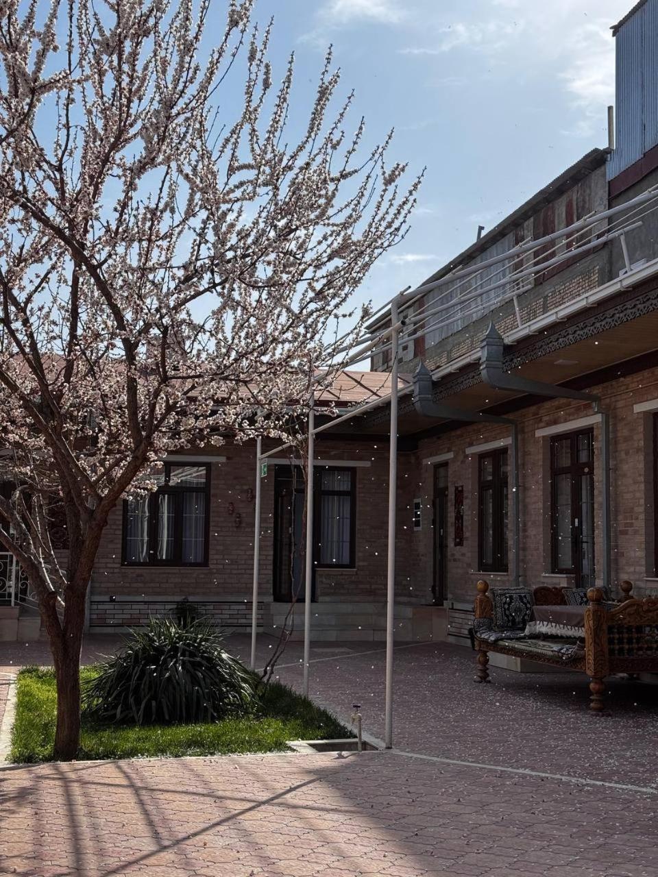 Salomat Guest House Samarkand Luaran gambar